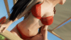 DOA Momiji Summertime std doggy 1080p60fps (black, bikini).gif