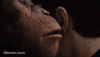 memix-planet-apes-whisper-_1_.gif