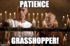 Patience Grasshopper.jpg