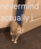 nevermind-actually-i-nevermind-actually-i-cat.gif