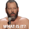 what-is-it-bert-kreischer.gif