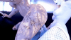 ezgif-340538a993e40c.gif
