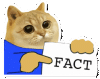 catcoin-cat-memes.gif