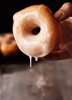 donut-galzed-donut.gif