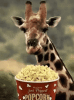 68a41ba32ef9eee4ec5f806ac1dff394.gif