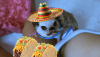 tacosombrero.png