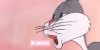 bugs-bunny.jpg
