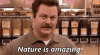 ron-swanson-nature.gif