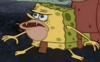 spongebob-spongebob-meme.gif