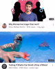 1759944518503.png