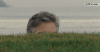 lurk.gif