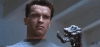 terminator-flips-the-bird.gif