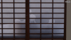 AS-3.gif AS-3.gif