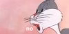 bugs-bunny-no.jpg