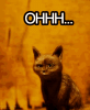 oh-cat.gif
