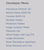 rpy_DeveloperMenu.png