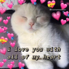 1760763017521.png 1760763017521.png