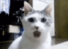1760923686970.png 1760923686970.png