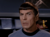 Trek Spock What the Fuck.gif