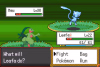 Pokemon - Emerald Version (USA, Europe) (patched)-2.png
