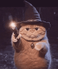 wizard-cat-cat-wizard.gif