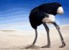 1761393037788.gif 1761393037788.gif