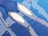 JellyFish - Black and White - 02.gif JellyFish - Black and White - 02.gif