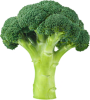 broccoli.png