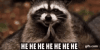 Evil Racoon.gif Evil Racoon.gif