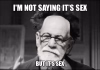 freud-meme-3.png
