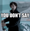 sherlock you dont say.gif