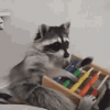 math-raccoon.gif