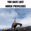 You have lost horse privileges.gif