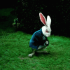 waiting-rabbit.gif