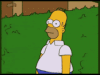 the-simpsons-homer-simpson-4021510465.gif