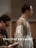 sheldon-big-bang-theory-sarcasm-6kj4znysn2fzluor.gif
