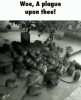 woe a plague upon thee.gif