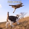 free-hugs.jpg