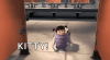 kitty-monsters-inc.gif