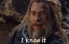 i knew it.jpg