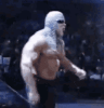 big-poppa-pump-scott-steiner-1451737608.gif