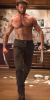 Wolverine1.png