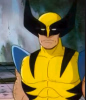 Wolverine.png
