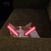 laser.gif