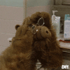 alf glasses.gif