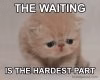 Waiting-meme-12-66d1b0f5a5e7f__700.jpg