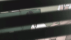 kosu900-2007500668190474311-01.gif