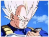 vegeta-approval.gif