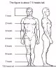 figure-drawing-proportions.jpg