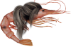 Josy_the_Shrimp.png